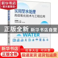 正版 实用型水处理高级氧化技术与工程应用 孙承林 化学工业出版