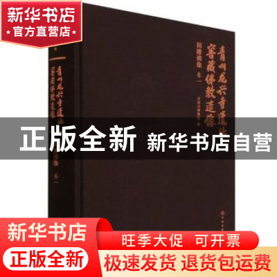 正版 青州龙兴寺遗址窖藏佛教造像卷一圆雕佛像 青州市博物馆 文