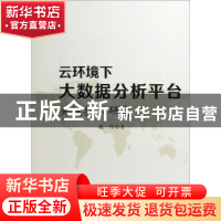 正版 云环境下大数据分析平台关键技术研究 戴伟著 中国水利水电