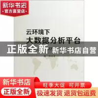 正版 云环境下大数据分析平台关键技术研究 戴伟著 中国水利水电