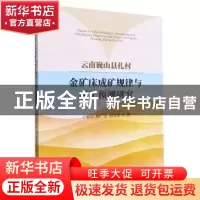 正版 云南巍山县扎村金矿床成矿规律与成矿预测研究 丁星妤,杨广
