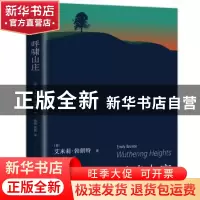 正版 呼啸山庄 [英] 艾米莉·勃朗特 中国友谊出版公司 9787505732