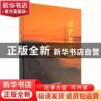 正版 修武年鉴2020 修武县档案史志馆编 中州古籍出版社 97875348