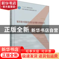 正版 城市排水管道系统安全保障与预警技术(精) 何强 中国建筑工