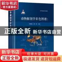 正版 动物解剖学彩色图谱 陈耀星,曹静 中国农业出版社 978710928