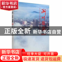正版 淅川年鉴2021 淅川县史志研究室编 中州古籍出版社 97875348