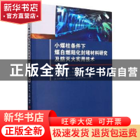 正版 小煤柱条件下煤自燃阻化封堵材料研究及防灭火实用技术 编者