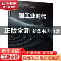 正版 超工业时代 [法]皮埃尔·韦尔兹 机械工业出版社 97871116948