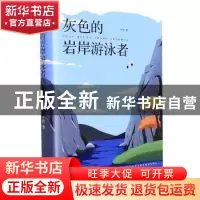 正版 灰色的岩岸游泳者(精) 叶迟 江苏凤凰文艺出版社 9787559461
