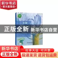 正版 大树青铜男孩/外教社葡萄牙语悦读系列 Sophia de Mello Bre