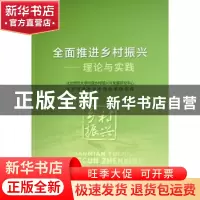 正版 全面推进乡村振兴——理论与实践 北京师范大学中国乡村振兴