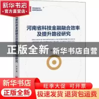 正版 河南省科技金融融合效率及提升路径研究/金融学精品系列/财