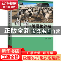 正版 肉羊规模化养殖技术图册 赵金艳主编 河南科学技术出版社 97