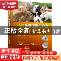 正版 兔病类症鉴别与诊治彩色图谱(精) 顾宪锐 化学工业出版社 97