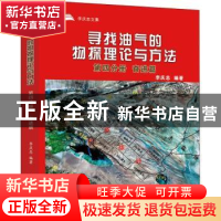 正版 寻找油气的物探理论与方法(第四分册)-奋进篇 李庆忠编著 中