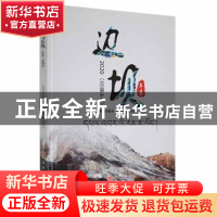 正版 边坝年鉴:2020(总第4卷) 边坝县年鉴编纂委员会主编 华龄出