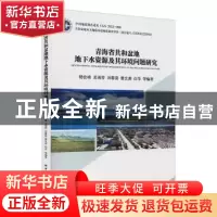 正版 青海省共和盆地地下水资源及其环境问题研究 杨会峰等编著