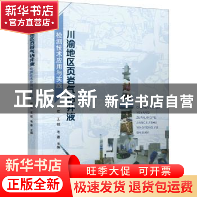 正版 川渝地区页岩气钻井液检测技术应用与实践 杨欢,王锐,毛惠