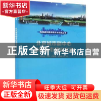 正版 北京城市副中心海绵城市建设实践/海绵城市建设研究与实践丛