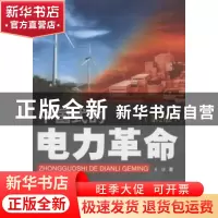 正版 中国式的电力革命 吴疆著 科学技术文献出版社 978751890508