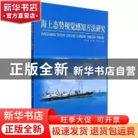 正版 海上态势视觉感知方法研究 乔大雷,张娟,吕太之著 吉林大
