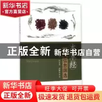 正版 本草经文献信息筛选 杨纪青 东南大学出版社 9787564174897