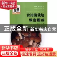 正版 食用菌栽培致富图解 吴圣进主编 广西科学技术出版社 978755