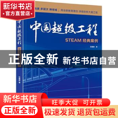 正版 中国超级工程—STEAM经典案例 张建新 电子工业出版社 97871