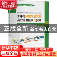 正版 大牛地致密砂岩气田高效开发技术与实践/特殊类型气田高效开