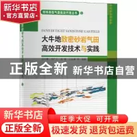 正版 大牛地致密砂岩气田高效开发技术与实践/特殊类型气田高效开