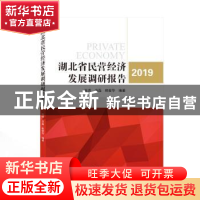正版 湖北省民营经济发展调研报告(2019) 张虎,肖磊,韩爱华编