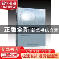 正版 软计算原理与实现 李业丽 电子工业出版社 9787121363689