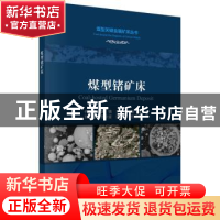 正版 煤型锗矿床/煤型关键金属矿床丛书 代世峰[等]著 科学出版社