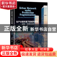 正版 生产分割环境下的城市网络--结构机理与效应 盛科荣著 经济