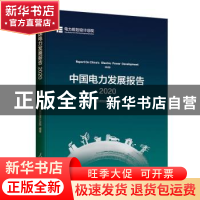 正版 中国电力发展报告:2020:2020 电力规划设计总院编著 人民日