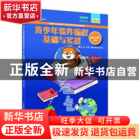 正版 青少年软件编程基础与实战(图形化编程四级)/爱上编程 赵凯