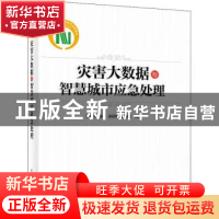 正版 灾害大数据与智慧城市应急处理 徐小龙 电子工业出版社 9787
