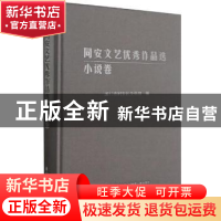 正版 同安文艺优秀作品选:小说卷 编者:翁海燕|责编:薛鹏志//林灿