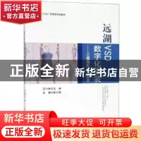 正版 远湖VSD数字化服装:三维模拟试衣技术 汪小林 中国纺织出版