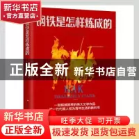 正版 钢铁是怎样炼成的 (苏)奥斯特洛夫斯基著, 吴兴勇译 吉林