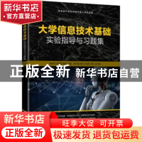 正版 大学信息技术基础实验指导与习题集 崔向平,刘亚军,韩伟主