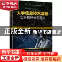 正版 大学信息技术基础实验指导与习题集 崔向平,刘亚军,韩伟主