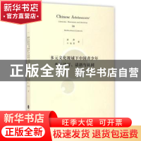 正版 多元文化视域下中国青少年多元读写、话语与认同 盛静,牛瑞