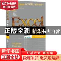 正版 Excel 2013实战技巧精粹 [美]Excel Home 人民邮电出版社 97