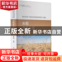 正版 现代农业产业技术体系建设理论与实践 水稻体系分册 程式华