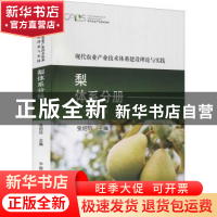 正版 现代农业产业技术体系建设理论与实践-梨体系分册 张绍铃主