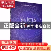 正版 新媒体美工 陈曦,匡栩葭,窦文主编 哈尔滨工程大学出版社