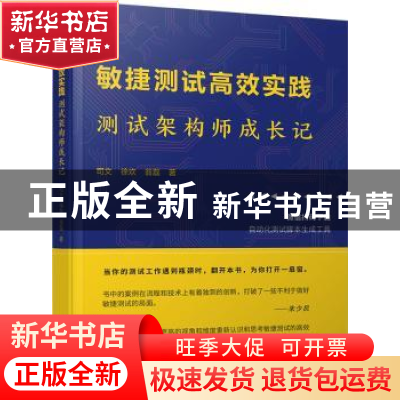 正版 敏捷测试高效实践(测试架构师成长记) 司文 电子工业出版社