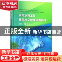 正版 水电水利工程典型水文地质问题研究 张世殊,许模等著 中国
