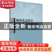 正版 城镇化过程中社会融合问题研究 王凤科,温芳芳著 科学出版